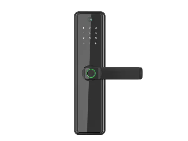 wifi inteligentni zamek tyua pst-b2 pro s klavesnici, otiskem prstu a kamerou + zamek 5572, android/ios